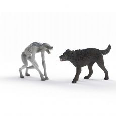Werwolf vs. Animagus