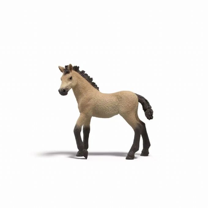 Colt Delilah version 1